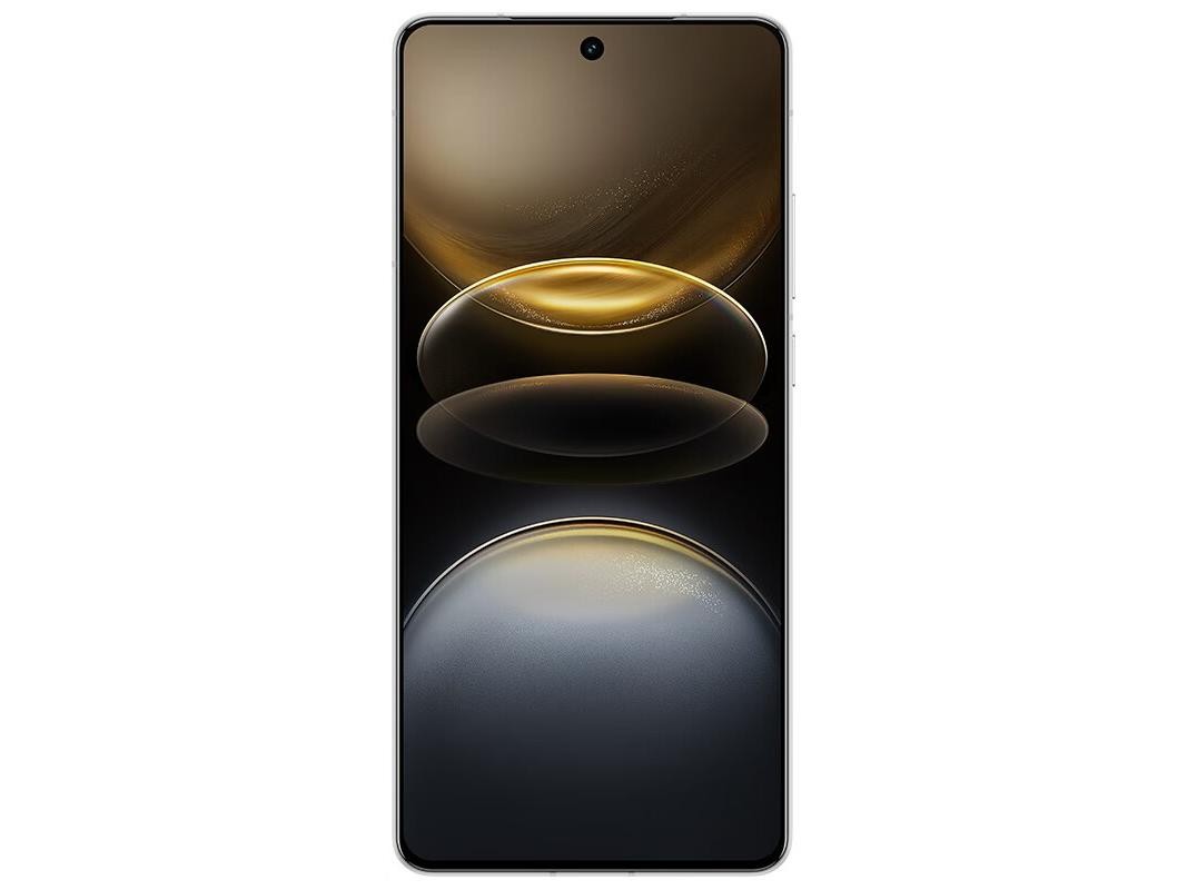  vivo X100s  12GB/256GB