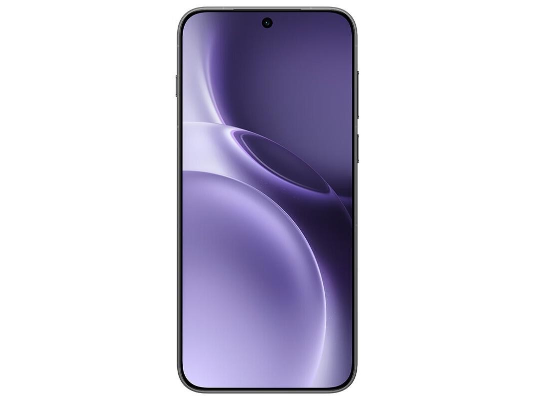  vivo X300 Pro 12GB+256GB